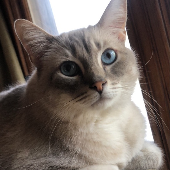 Meet your Posher, Guadalupe - Picture 1 of 1